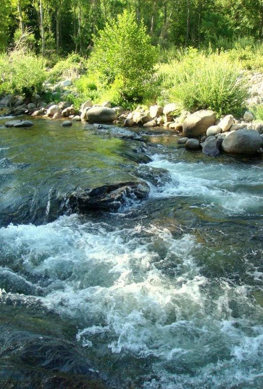 Camping Chantemerle Bedoues Ngoại thất bức ảnh